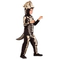 thumbnail image 1 of Kid's Triceratops Fossil Costume, 1 of 6