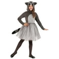 thumbnail image 1 of Kid's Tutu Raccoon Costume, 1 of 7