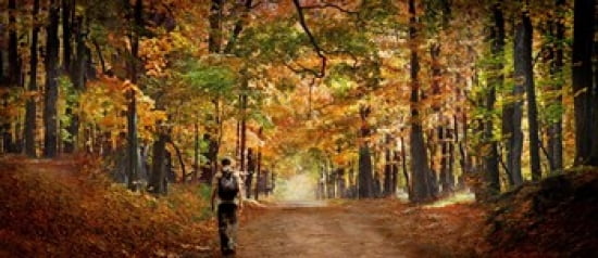 Kid with backpack walking in fall colors Canvas Art - Panoramic Images (30 x 13)