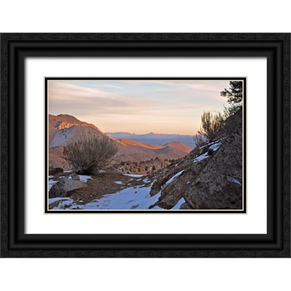 Kidd, Brian 14x11 Black Ornate Wood Framed with Double Matting Museum Art Print Titled - Desert I