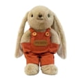 thumbnail image 1 of Kiddiway Plush Figurine Bunny Rabbit Doll - Cute Plushies for Baby Toys, Soft Stuffed Animal Hugging Companion, Gift for Girls, Bedtime Friend,D, 1 of 3