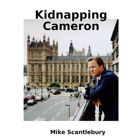 Kidnapping Cameron, (Paperback)