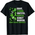 thumbnail image 1 of Kidney Disease Warrior Kidney Disease Awareness Month T-Shirt mens t shirt，black，women，funny，misfits，men，journey, 1 of 4