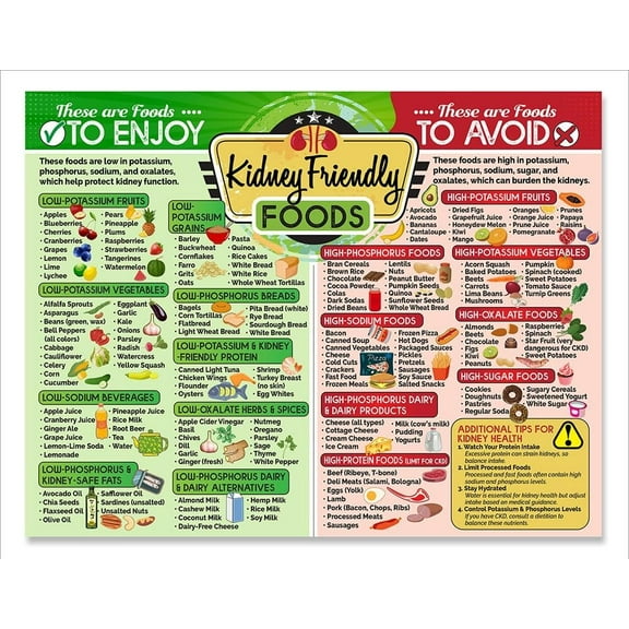 Kidney-Friendly Diet Chart Poster Laminated Low Sodium and Low Potassium Food Guide Renal Nutrition Reference for CKD Meal Planning Large Easy to Read Kitchen Wall Chart Poster.