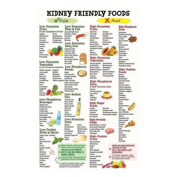 Kidney Friendly Eating Poster - Low Potassium Renal Diet Chart for Nutrition Education and Wall Display