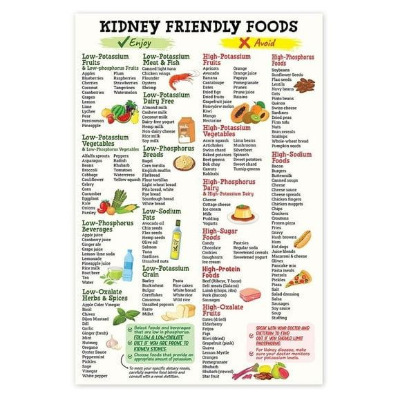 Kidney Friendly Food List Poster, Kidney Disease, Kidney Diet List for Low Potassium Print, Nutrition, Kidney Food Guide Poster