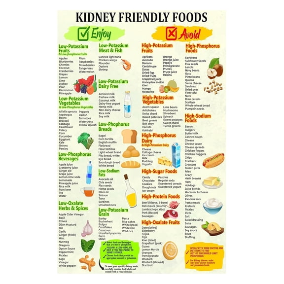Low Potassium Phosphorus Foods List Renal Diet Food Chart for CKD Patients Kidney Health Education Poster for Kitchen Clinic and Hospital