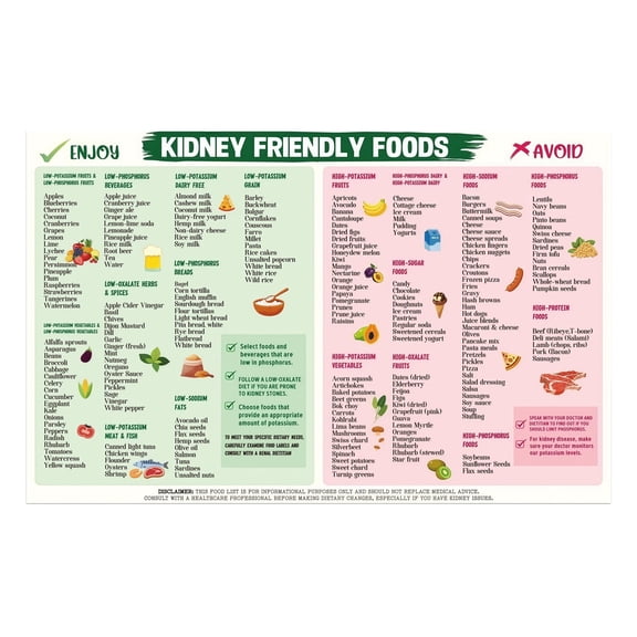 Kidney Friendly Nutritional Guide Poster - Food Chart for Renal Health and Diet