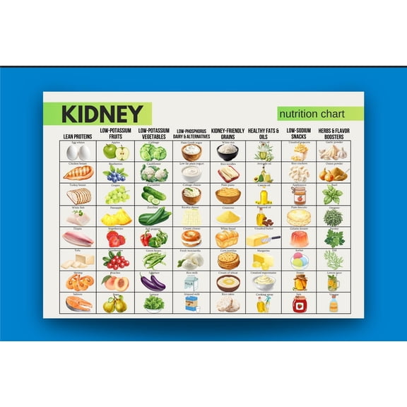 Kidney Nutrition Chart Poster, Kidney Food Plan Poster, CKD Diet Note Poster