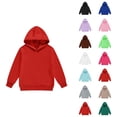 thumbnail image 1 of Kids Basic Hoodie Long Sleeve Fall Winter Casual Plain Hooded Sweatshirt for Boys Girls Children Pullover Tops, 1 of 1