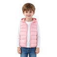 thumbnail image 1 of Kids Bear Ear Hooded Puffer Vest Boys Girls Sleeveless Quilted Warm Gilet Full Zip Lightweight Padded Vest for Toddlers Fall Winter School Daily Outdoor Wear(12-18Months,Pink), 1 of 4