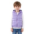 thumbnail image 1 of Kids Bear Ear Hooded Puffer Vest Boys Girls Sleeveless Quilted Warm Gilet Full Zip Lightweight Padded Vest for Toddlers Fall Winter School Daily Outdoor Wear(18-24 Months,Purple), 1 of 4