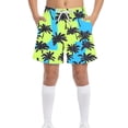 thumbnail image 1 of Kids Boys Beach Shorts Drawstring Elastic Waist Palm Tree Tropical Print Swim Trunks for Summer Vacation Holiday, 4T-15Y, 1 of 8