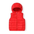 thumbnail image 1 of Kids Boys and GirlsFull Zip Sleeveless Hooded Vest Basic Zipper Tank Tops Sweatshirt with Pockets 2-12T, 1 of 9