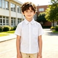 thumbnail image 1 of Kids' Classic Polo Shirt Short Sleeve Playground Clothing Summer Collared Top Pocketed, 1 of 7