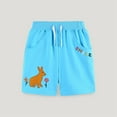 thumbnail image 1 of Kids Cotton Sweat Sport Shorts with Drawstring Soft Jersey Athletic Shorts for Boys and Girls Sky Blue 7 Years, 1 of 6