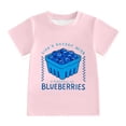 thumbnail image 1 of Kids Cute Fruit Print T-Shirt Boys Girls Life's Better with Blueberries Strawberries Letter Print Crew Neck Short Sleeve Tee Summer Casual Daily Outdoor Top(Light Pink1,13-14 Years), 1 of 4