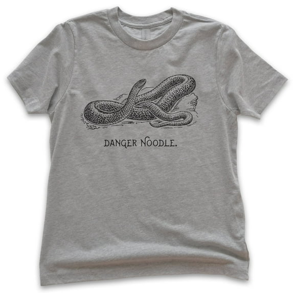 Kids Danger Noodle Snake Shirt, Youth Kids Boy Girl T-Shirt, Reptile T-shirt, Funny Animal Pun Graphic Tee, Dark Heather Gray, X-Small