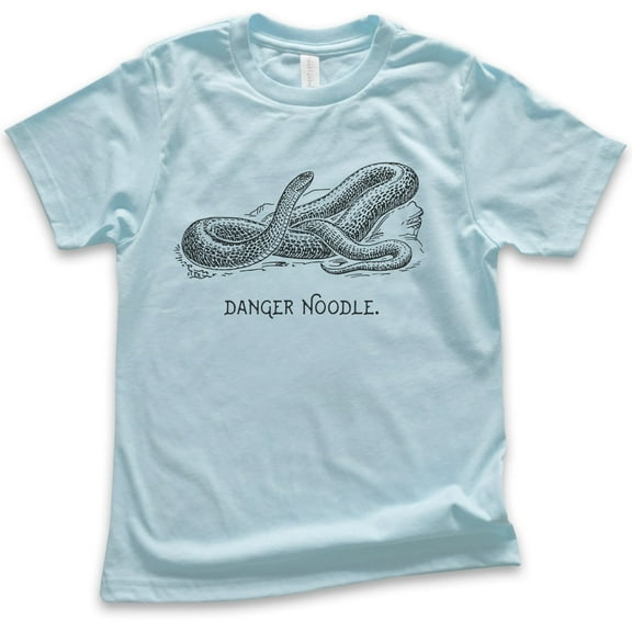 Kids Danger Noodle Snake Shirt, Youth Kids Boy Girl T-Shirt, Reptile T-shirt, Funny Animal Pun Graphic Tee, Light Blue, X-Large