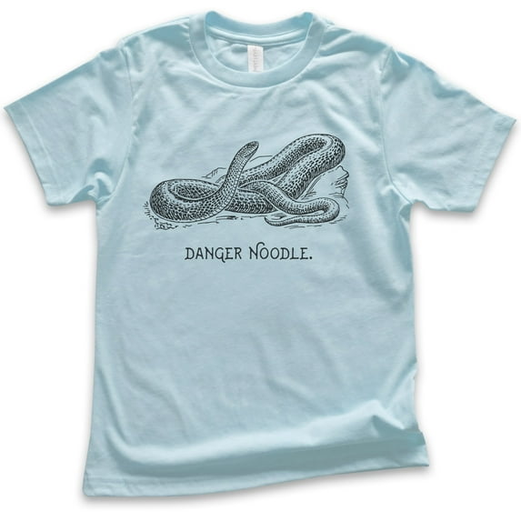 Kids Danger Noodle Snake Shirt, Youth Kids Boy Girl T-Shirt, Reptile T-shirt, Funny Animal Pun Graphic Tee, Light Blue, X-Large