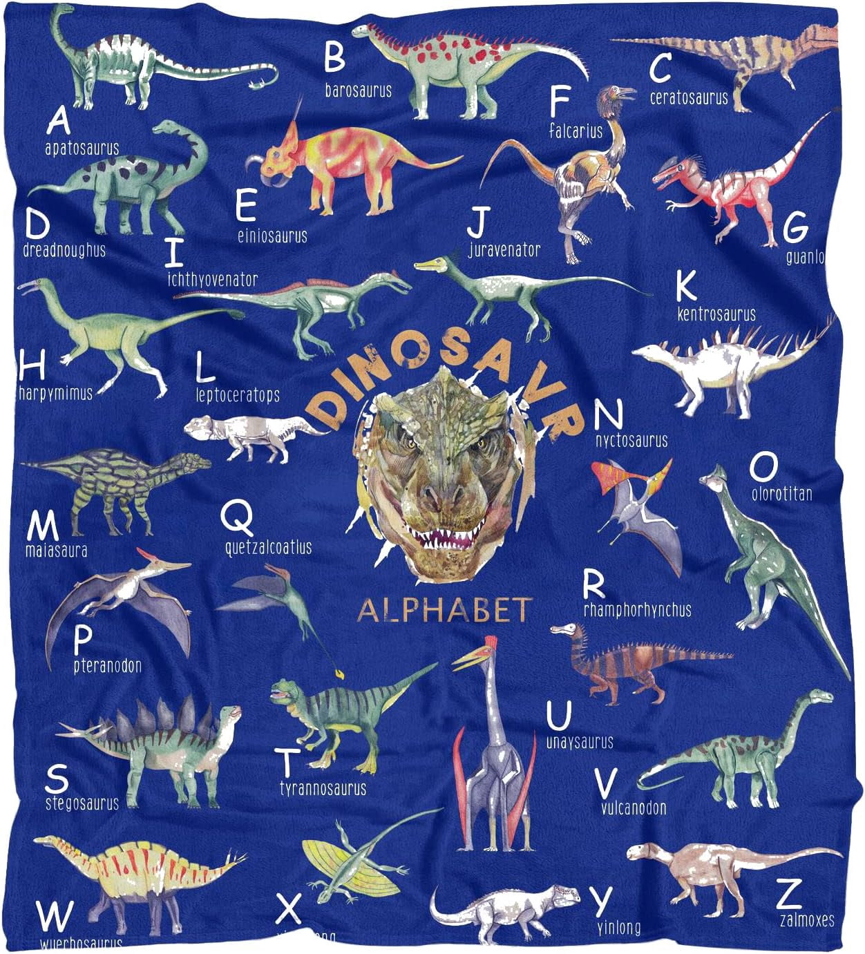 Kids Dinosaur Alphabet Blanket for Boys Dino Blanket Birthday Christmas Dinosaur Gifts for Boys, 50x60 Inch