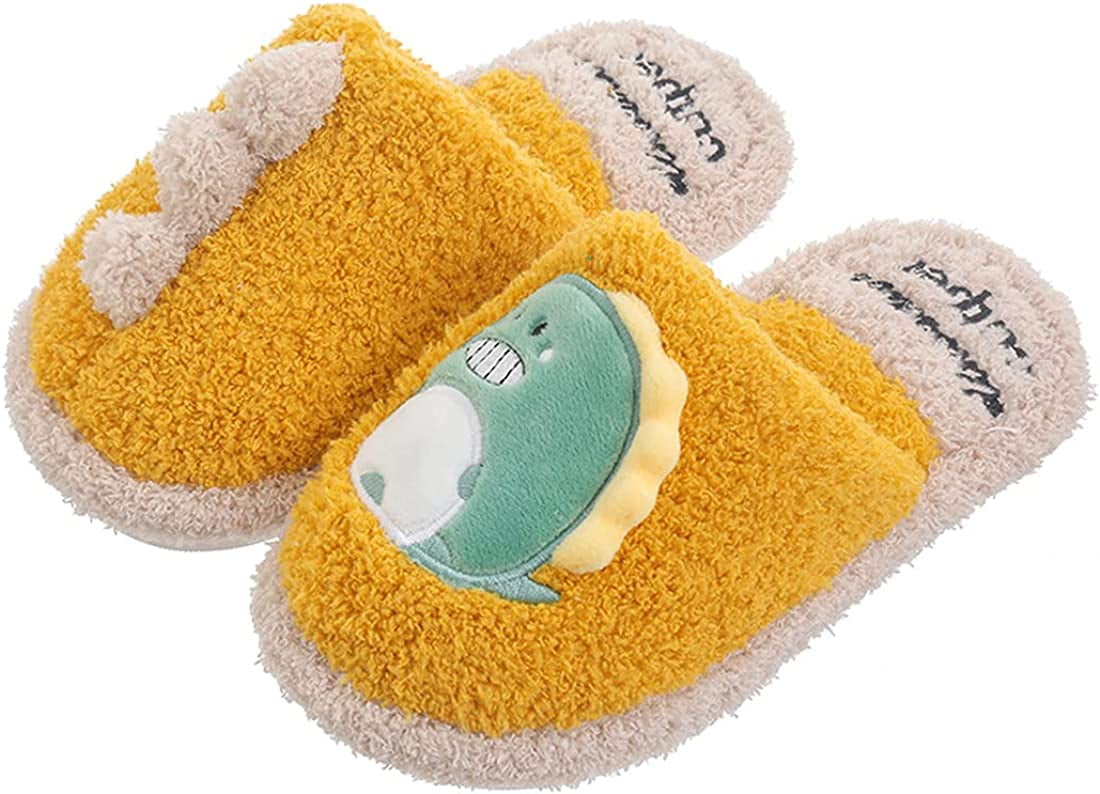 childrens dinosaur slippers