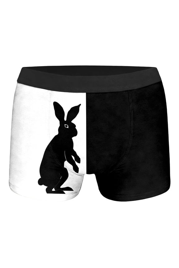 Kids Easter Bunny Cartoon Egg Print Briefs for Boys and Girls Comfort Fit Underwear Soft Breathable Daily Black 3 Years-4 Years