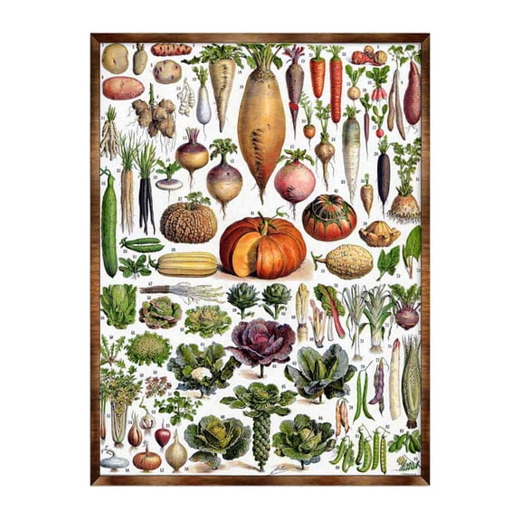 Kids Educational Poster with Root Vegetables | �Montessori Wooden Poster | Homeschool I Classroom D�cor | Aesthetic - 310225