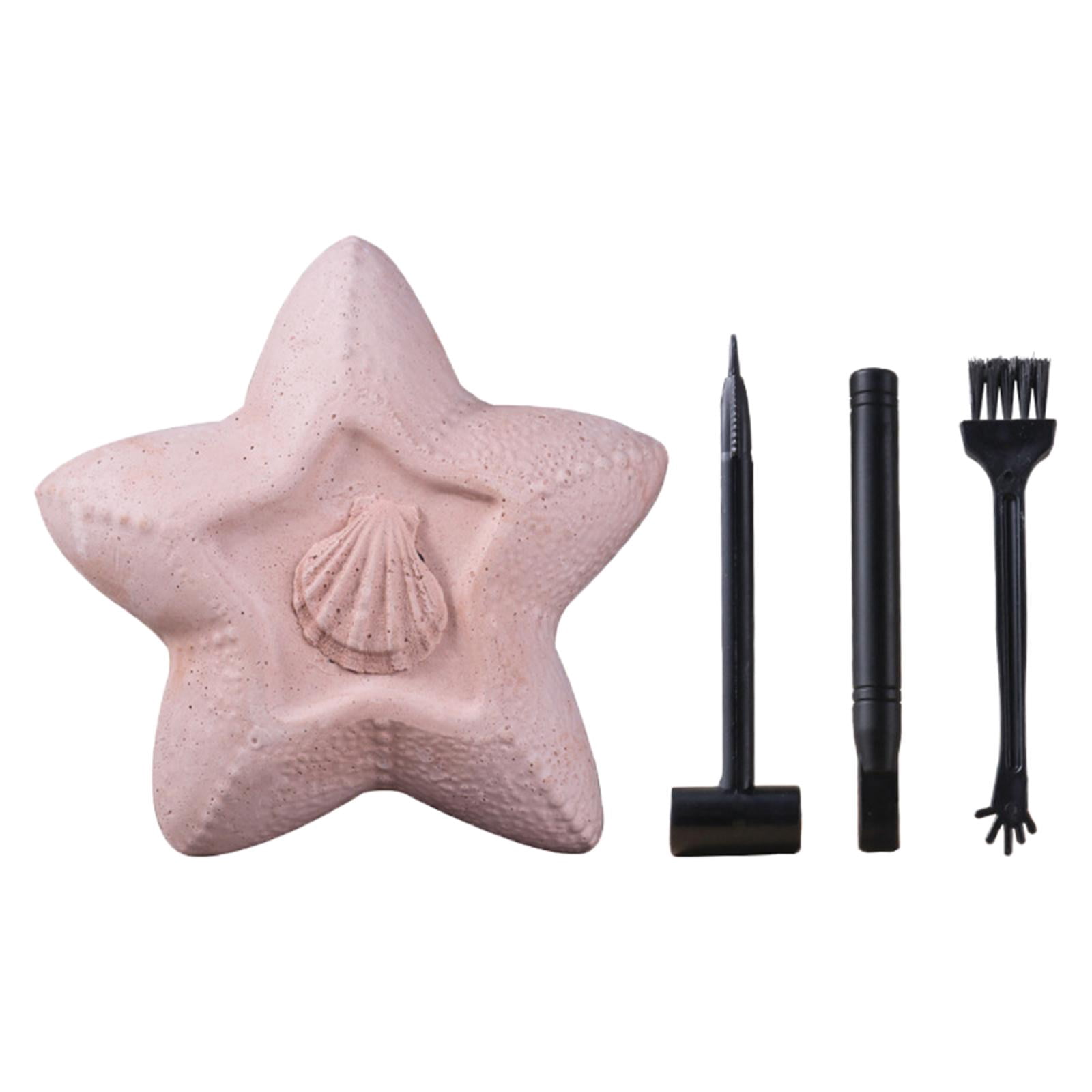 Kids Excavation Early Learning Toys Archaeology Discovery Excavation ...