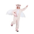 thumbnail image 1 of Kids Flying Pig Costume, 1 of 3