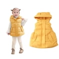 thumbnail image 1 of Kids Girls Boys Puffer Vest Girls Vest Stand Collar Lightweight Zip Up Puffer Jacket Sleeveless Kids Winter Jacket 3-4 Years, 1 of 5