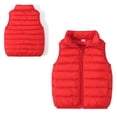 thumbnail image 1 of Kids Girls Boys Puffer Vest Kids Boys Girls Winter Vest Stand Collar Lightweight Zip Up Sleeveless Jacket Kids Boy Jacket 3-4 Years, 1 of 4