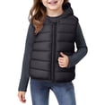 thumbnail image 1 of Kids Hooded Puffer Vest Lightweight Sleeveless Outerwear Zipper Closure Warm Gilet for Boys and Girls Winter Fall Spring, 1 of 3