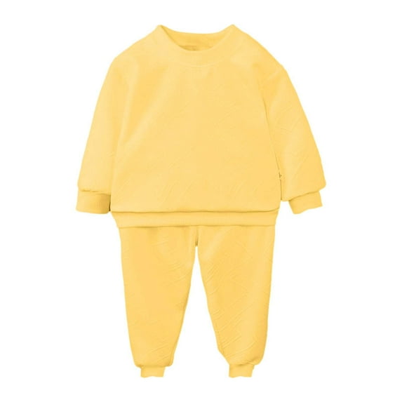 Kids Hoodies Boys Zip Up Hoodie Boys' Autumn Sets Girls' Baby Hoodies Two Piece Sets Children's Casual Clothes For Young Kids Small To Medium Toddler Clothing For Ages 2 10