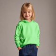 thumbnail image 1 of Kids Hoddies Kids Green Hoodies Casual Long Sleeve Hoodie Sweatershirt Pullover Warm Fall Winter Clothes 4T Boy Clothes, 1 of 5
