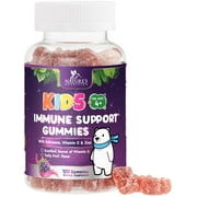 Kids Immune Support Gummies - Vitamin C, Zinc & Echinacea Children's Daily Immune Health Support Gummy Supplement for Ages 4 and Up, Natures Kid's Vitamin C Gluten-Free & Non-GMO, Vegan - 120 Gummies