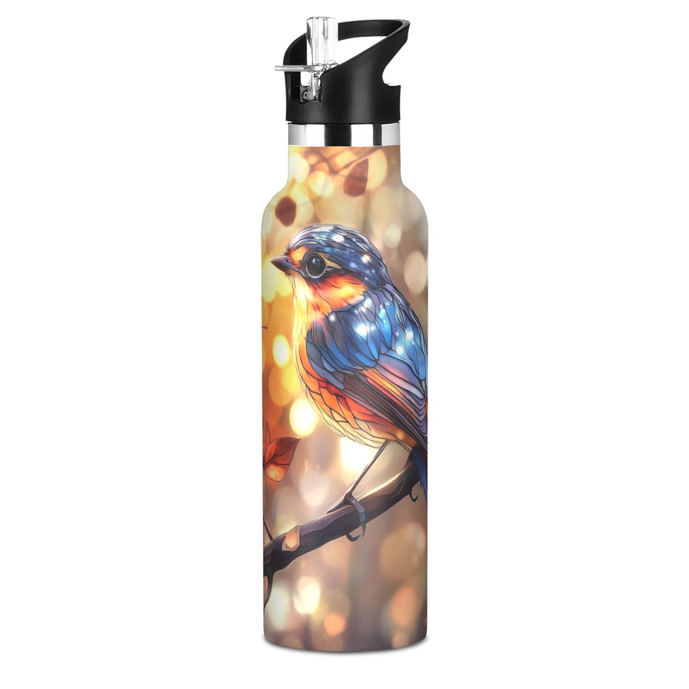 Kids Insulated Stainless Steel Sports Water Bottle 600ml (20oz), BPA-Free Colorful Beautiful Bird