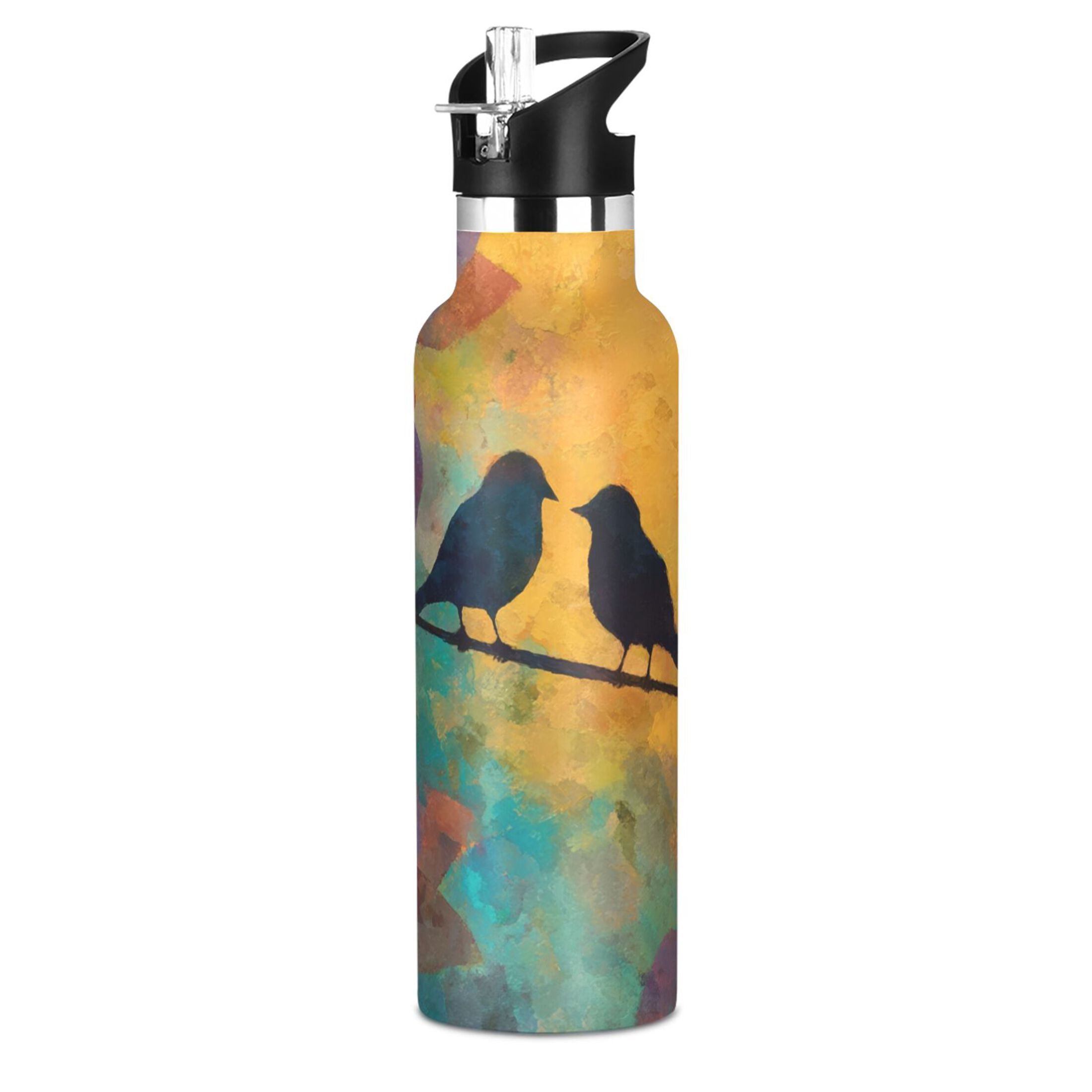 Kids Insulated Stainless Steel Sports Water Bottle 600ml (20oz) Birds on A Wire