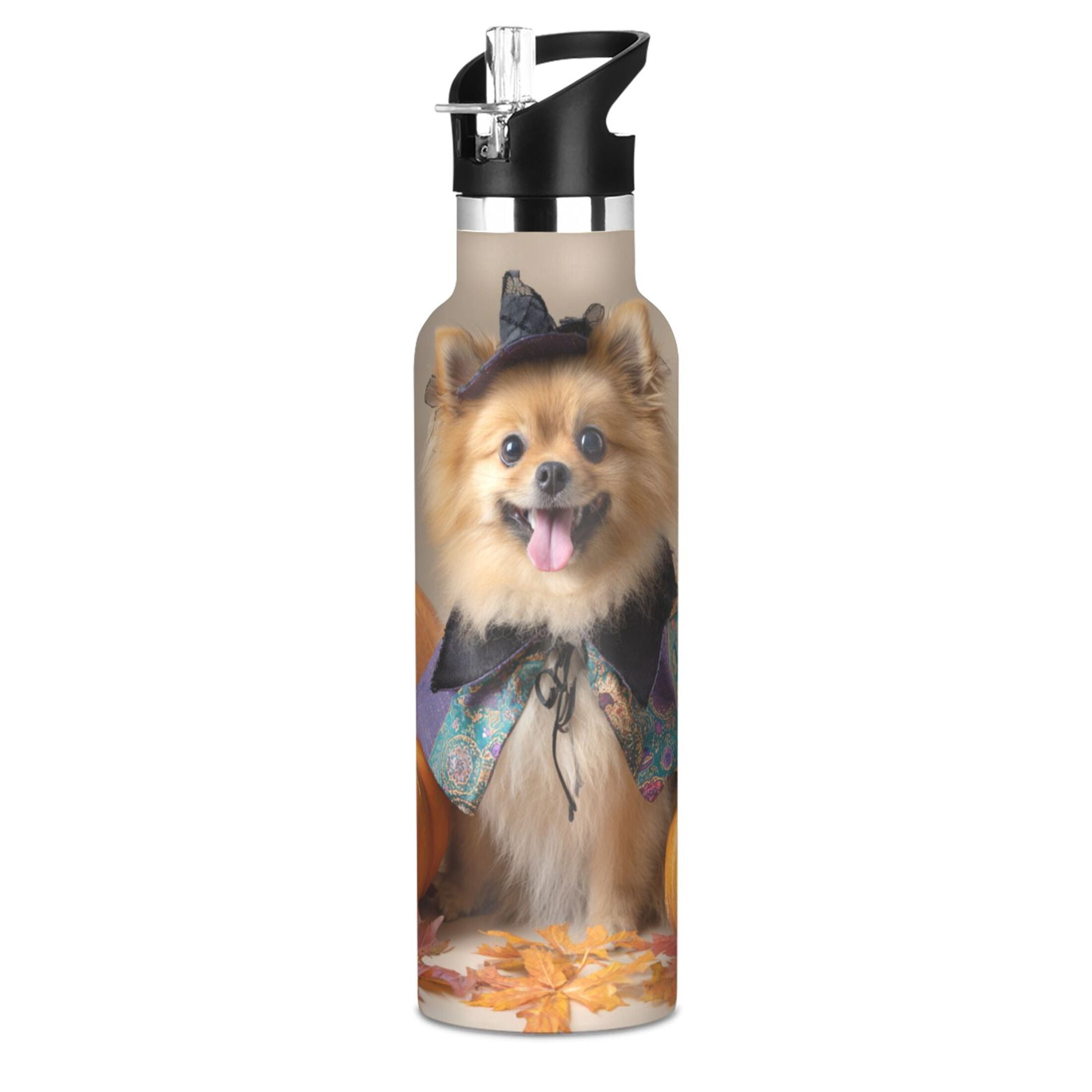 Kids Insulated Stainless Steel Sports Water Bottle 600ml (20oz) Cute Pomeranian Dog and Pumpkins