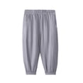 thumbnail image 1 of Kids Joggers Boys Unisex Loose Anti-Mosquito Sun Protection Grey Thin Cotton Elastics Waist Summer Fall Long Pants Sweatpants 3-4 Years, 1 of 5