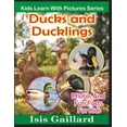 thumbnail image 1 of Kids Learn with Pictures Ducks and Ducklings: Photos and Fun Facts for Kids, Book 15, (Paperback), 1 of 1