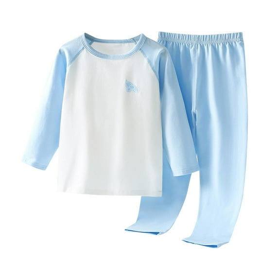 Kids Long Sleeve Casual Top and Elastic Waist Pants Set for Autumn and Winter, Comfortable Cotton Loungewear, Perfect for Home and Daily Wear Blue 9 Years