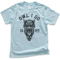 thumbnail image 1 of Kids Owl I Do Is Win Shirt, Youth Kids Boy Girl T-Shirt, Owl Animal Pun Shirt, Owl Graphic Shirt, Owl Shirt, Light Blue, Medium, 1 of 4