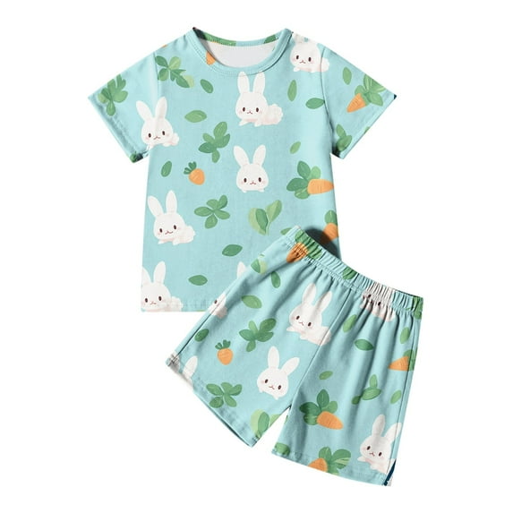 Kids Pjs Easter Pajamas Kids Cute Bunny Printed Short Sleeve Top and Short Pants Two Pieces Toddler Satin Pajamas for Toddler Boys 2-3 Years