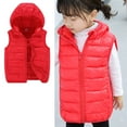 thumbnail image 1 of Kids Puffer Vest Kids Boys Winter Vest Cute Jackets Zipper Up Down Coats Winter Down Vest for Girls 3-4 Years, 1 of 4