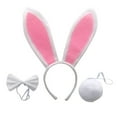 thumbnail image 1 of Kids Rabbit Costume Set Easter Animal Bunny Dress Up Outfits, 1 of 4
