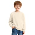 thumbnail image 1 of Kids' Sweatshirt Crewneck Long Sleeve Casual Pullover Basic Comfortable Classic Fit Solid Color Fall Top, 1 of 5