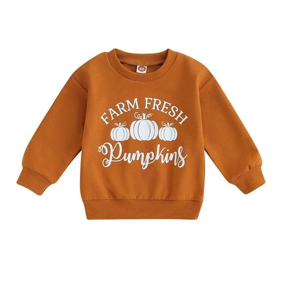 Kids Sweatshirt Long Sleeve Crew Neck Letters Pumpkin Print Hoodie Pullover 6M 12M 18M 24M 2Y 3Y 4Y 5Y Halloween Clothes for Boys Girls