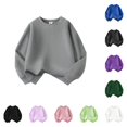thumbnail image 1 of Kids Sweatshirts Girls and Boys Long Sleeve Kids Grey Sweatshirts Pullover Crewneck Blouse Shirt Tops Warm Fall Winter Cute Sweatshirts 3-4 Years, 1 of 4