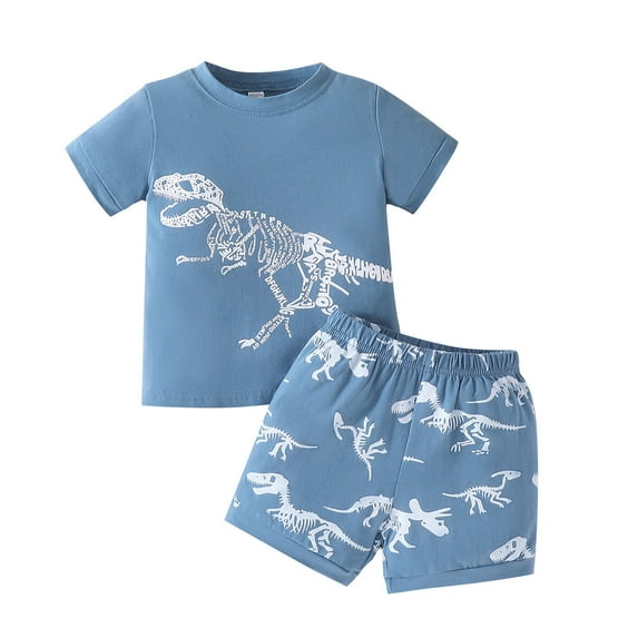Kids Toddler Boys Summer Clothes Short Sleeve Cartoon Dinosaur Tees And Shorts Sets Summer Clothes Size 2 To 7Y Beach Playwear Outfits